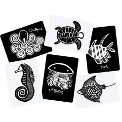 Memory Games|Flash Cards-Wee Gallery Art Cards