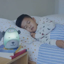 Lighting-Skip Hop Beary Cute Take Along Night Light