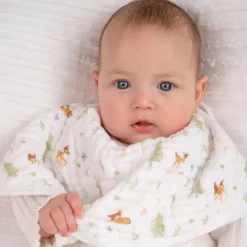 Bibs + Burps-aden + anais Burpy Bib