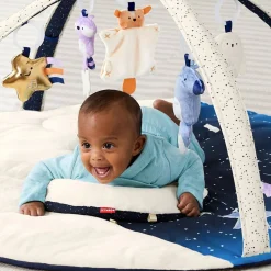 Activity Gyms-Skip Hop Celestial Dreams Activity Gym