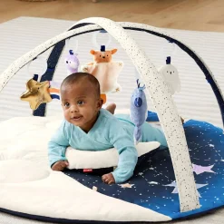 Activity Gyms-Skip Hop Celestial Dreams Activity Gym