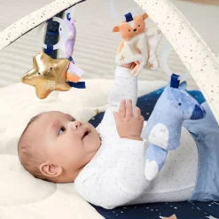 Activity Gyms-Skip Hop Celestial Dreams Activity Gym