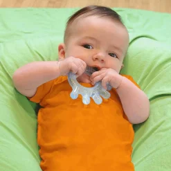 Teethers|Pacifiers + Clips-Green Sprouts Cool Everyday Teethers (2 Pack)