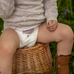 Disposable Diapers-Terra Diaper Pants Size 4 (Toddler)