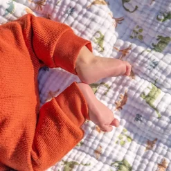 Blankets-aden + anais essentials Dream Blanket