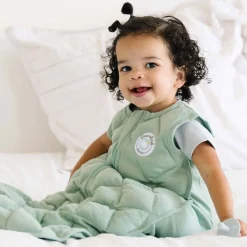Sleep Sacks + Wraps-Dreamland Baby Dream Weighted Sleep Sack