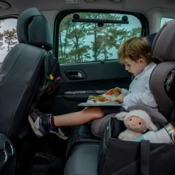 Travel Gear|Car Seat Accessories-Ezimoov Ezi Travel Classic