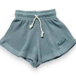 Shorts-Blueberri Flared Shorts