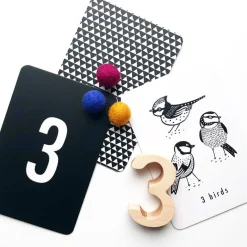 Memory Games|Flash Cards-Wee Gallery Flash Cards