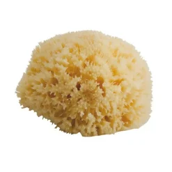 Towels + Cloths-Bellini Honeycomb Sea Sponge (Medium)