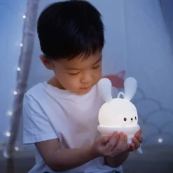 Lighting-Around The Crib Hook 'N Go Pendant LED Nightlight