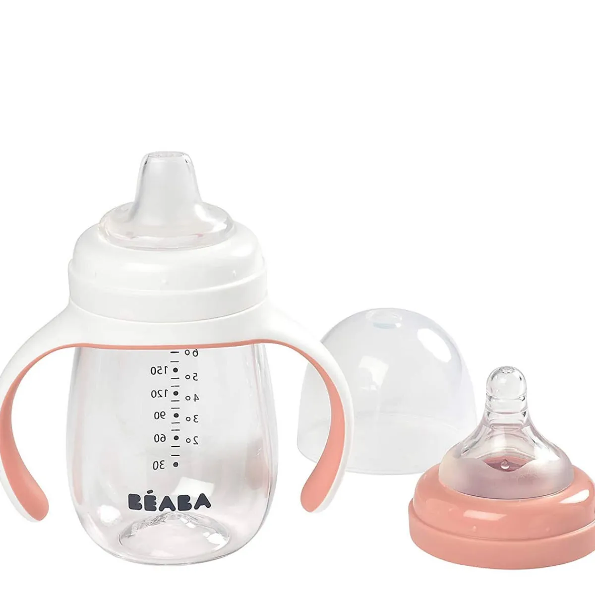 Kids Drinkware|Sippy Cups + Straw Cups-Beaba 2-in-1 Bottle to Sippy Learning Cup