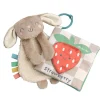 Stroller Toys-Itzy Ritzy Itzy Learn & Snuggle