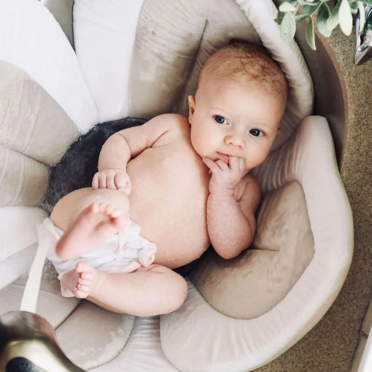 Sink Liners + Bath Dividers-Blooming Baby Lotus Bath
