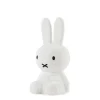 Lighting-Mr Maria Miffy First Light