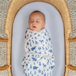 Blankets|Sleep Sacks + Wraps-aden + anais Minky Easy Swaddle Wrap (3 Pack)