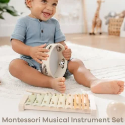 Musical Instruments-Comfycubs Musical Toy Instrument (Set)