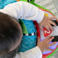 Jumpers-Baby Einstein Neighborhood Friends Activity Jumper