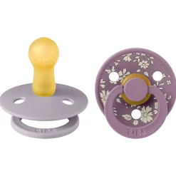 Pacifiers + Clips-Bibs Pacifier (2 Pack)