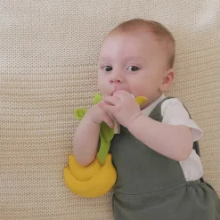 Pacifiers + Clips-Oli & Carol Pacifier Case