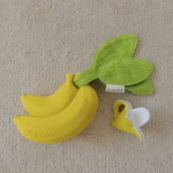 Pacifiers + Clips-Oli & Carol Pacifier Case