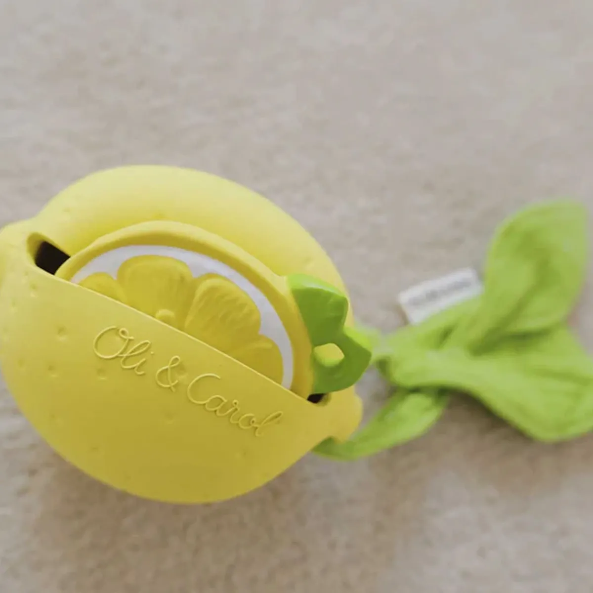 Pacifiers + Clips-Oli & Carol Pacifier Case