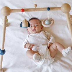 Wooden Toys|Activity Gyms-Plantoys Play Gym
