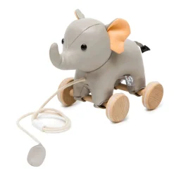 Pull Toys-Little Big Friends Pull Along Friends