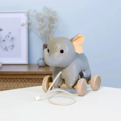 Pull Toys-Little Big Friends Pull Along Friends
