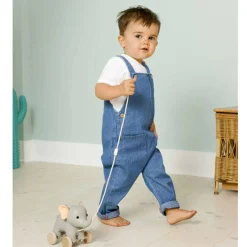 Pull Toys-Little Big Friends Pull Along Friends