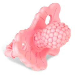 Teethers|Pacifiers + Clips-Razbaby Raz-Berry Teether