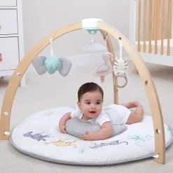 Wooden Toys|Activity Gyms-aden + anais Rising Star Play + Discover Activity Gym
