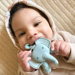 Teethers|Pacifiers + Clips-Itzy Ritzy Ritzy Molar Silicone Teether