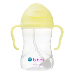 Kids Drinkware|Sippy Cups + Straw Cups-B.Box Sippy Straw Cup