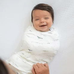 Sleep Sacks + Wraps-Halo SleepSack Swaddle - Cotton
