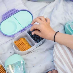 Kids Bento Boxes-B.Box Snackbox
