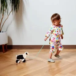 Wooden Toys|Pull Toys-Lovevery The Pull Pup