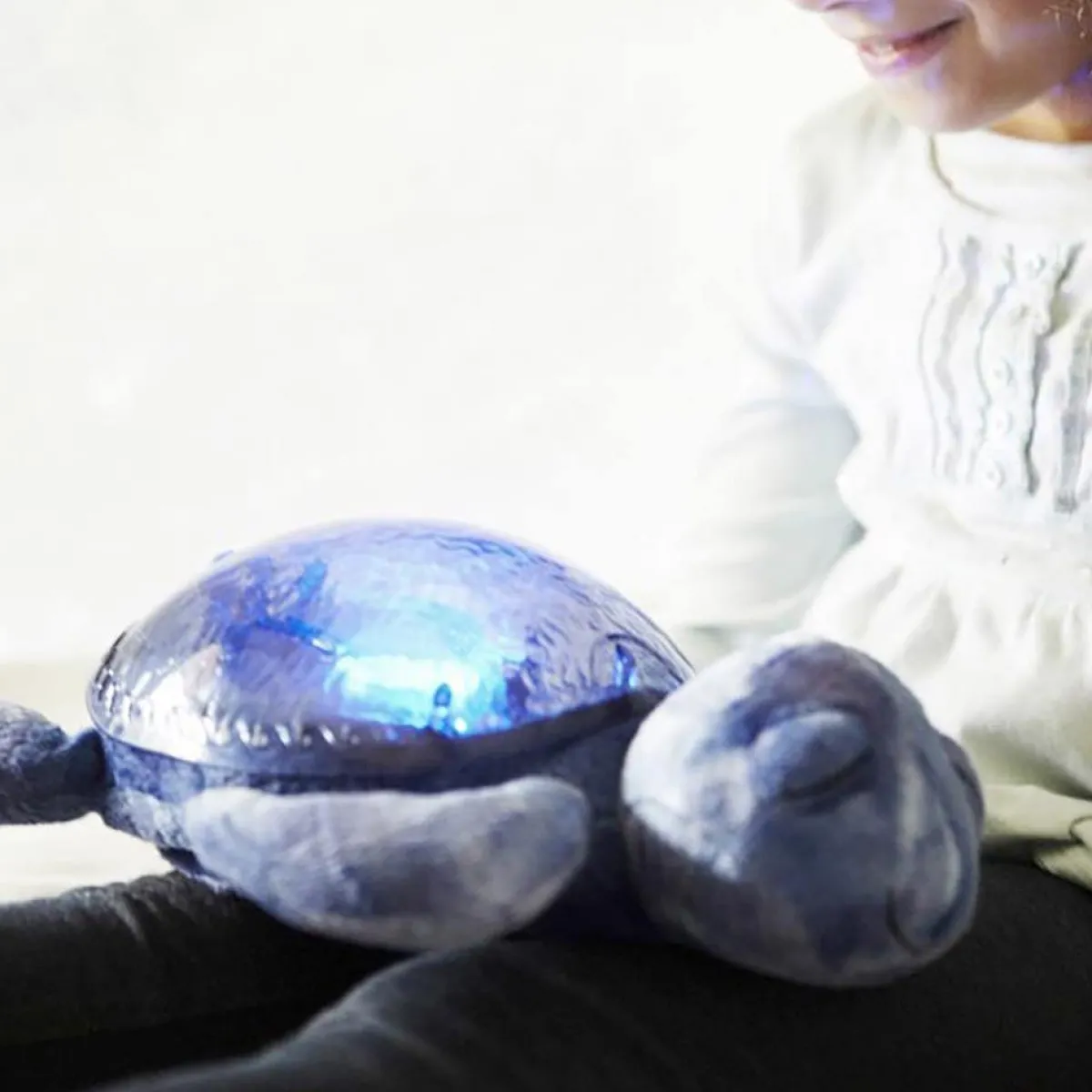 Sound + Light Machines|Lighting-Cloud B Tranquil Turtle