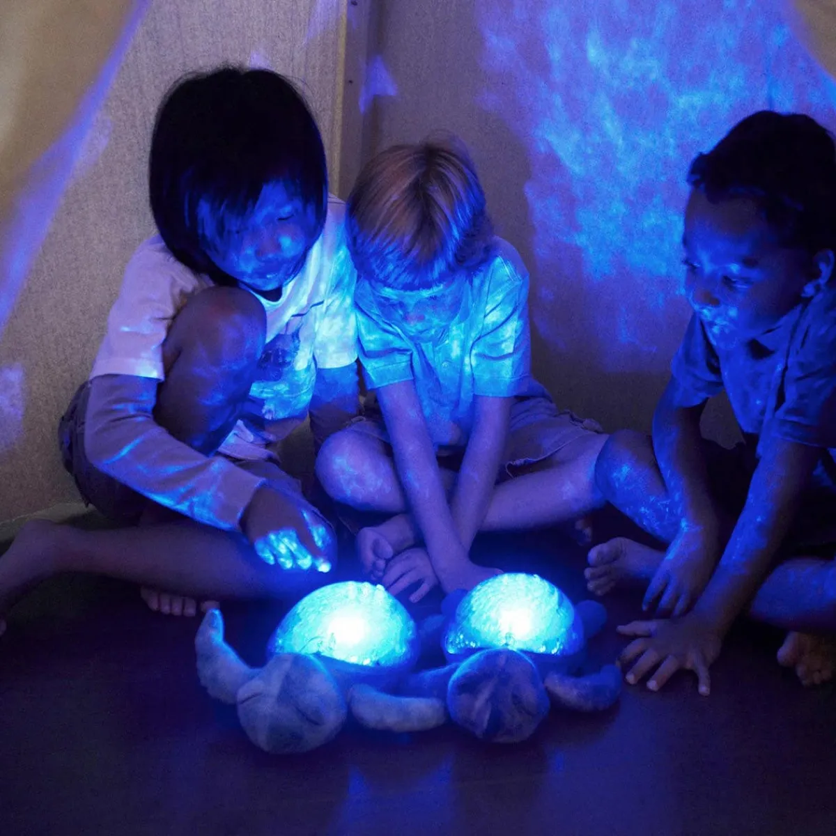 Sound + Light Machines|Lighting-Cloud B Tranquil Turtle