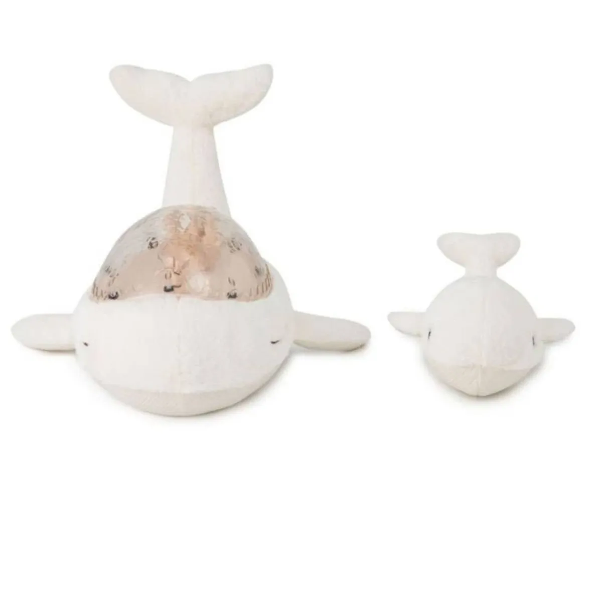 Sound + Light Machines|Lighting-Cloud B Tranquil Whale
