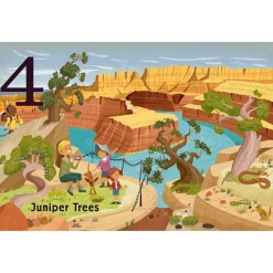 Board Books-Raincoast Books Trees