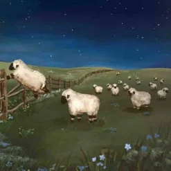 Board Books|Story Books-Milkbarn What Do Sheep Count?