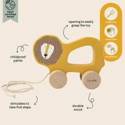Wooden Toys|Pull Toys-Trixie Wooden Pull Along Toy