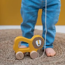 Wooden Toys|Pull Toys-Trixie Wooden Pull Along Toy