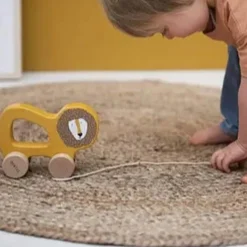 Wooden Toys|Pull Toys-Trixie Wooden Pull Along Toy